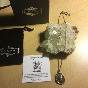 Plum & Posey | Dragon | 24 inch chain